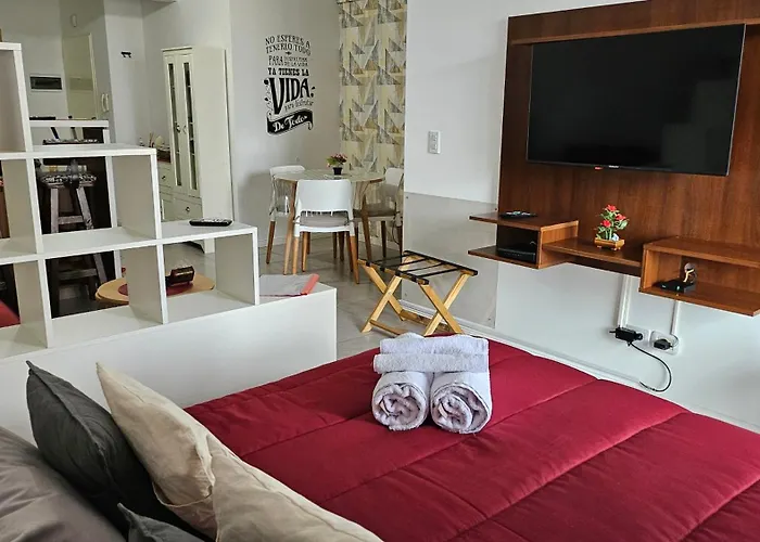 Muy Lindo Y Luminoso Departamento En Buenos Aires